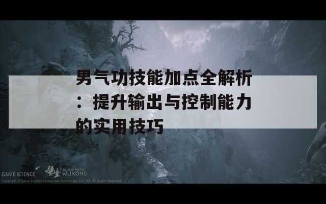 男气功技能加点全解析：提升输出与控制能力的实用技巧