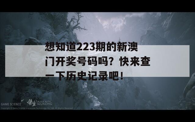 想知道223期的新澳门开奖号码吗？快来查一下历史记录吧！