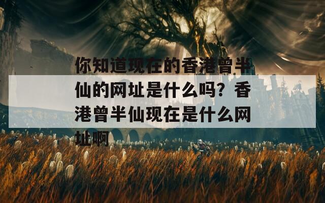 你知道现在的香港曾半仙的网址是什么吗？香港曾半仙现在是什么网址啊