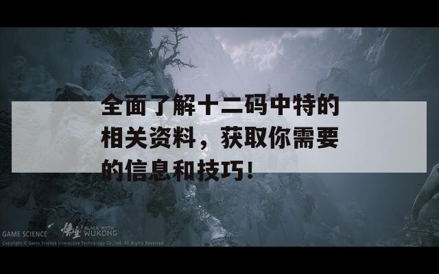 全面了解十二码中特的相关资料，获取你需要的信息和技巧！