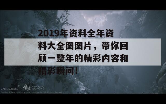 2019年资料全年资料大全图图片，带你回顾一整年的精彩内容和精彩瞬间！