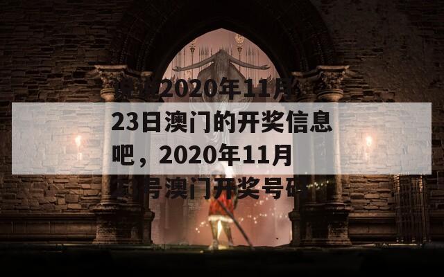 说说2020年11月23日澳门的开奖信息吧，2020年11月23号澳门开奖号码