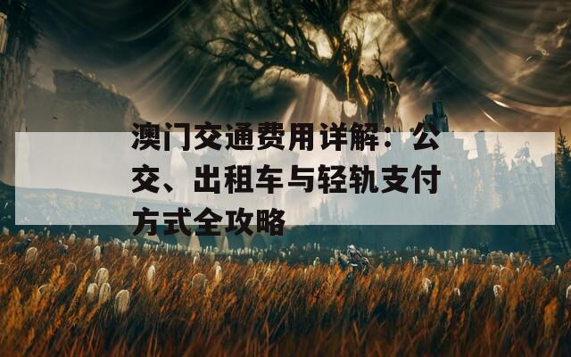 澳门交通费用详解：公交、出租车与轻轨支付方式全攻略