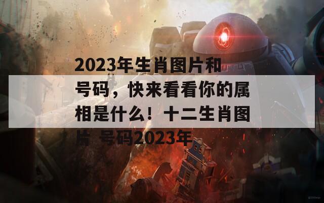 2023年生肖图片和号码，快来看看你的属相是什么！十二生肖图片 号码2023年