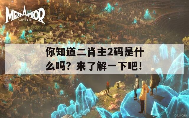 你知道二肖主2码是什么吗？来了解一下吧！