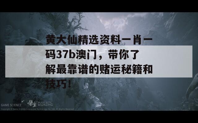 黄大仙精选资料一肖一码37b澳门，带你了解最靠谱的赌运秘籍和技巧！