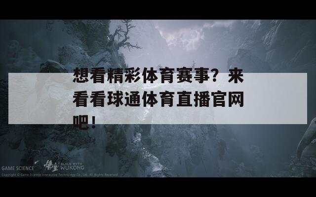 想看精彩体育赛事？来看看球通体育直播官网吧！