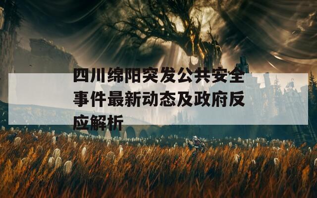 四川绵阳突发公共安全事件最新动态及政府反应解析