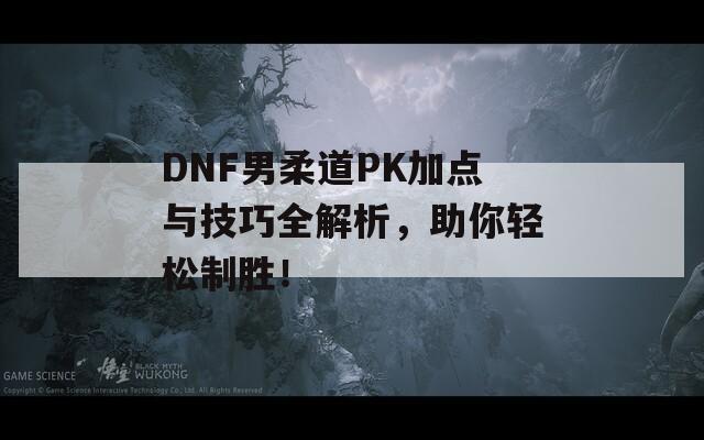 DNF男柔道PK加点与技巧全解析，助你轻松制胜！