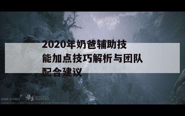 2020年奶爸辅助技能加点技巧解析与团队配合建议