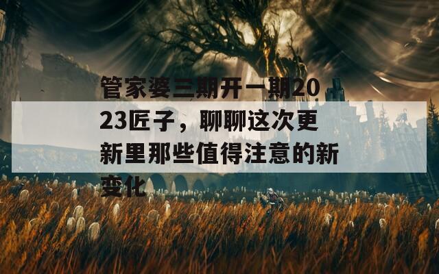 管家婆三期开一期2023匠子，聊聊这次更新里那些值得注意的新变化