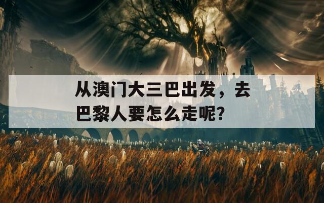 从澳门大三巴出发，去巴黎人要怎么走呢？