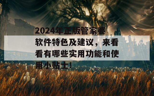 2024年正版管家婆软件特色及建议，来看看有哪些实用功能和使用小贴士！