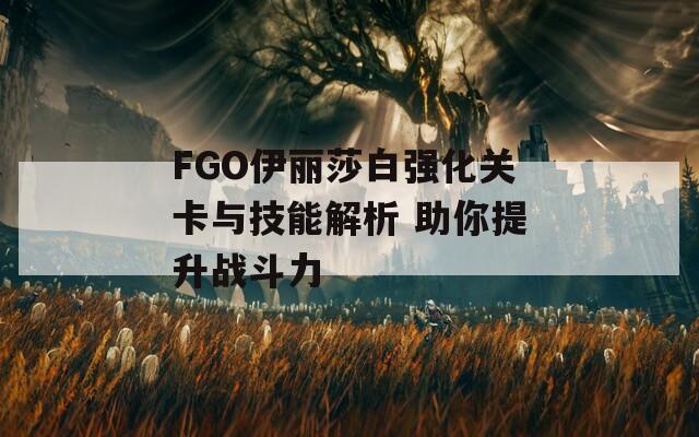 FGO伊丽莎白强化关卡与技能解析 助你提升战斗力