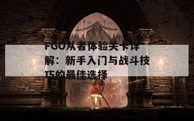 FGO从者体验关卡详解：新手入门与战斗技巧的最佳选择