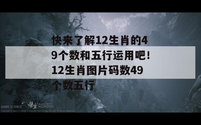 快来了解12生肖的49个数和五行运用吧！12生肖图片码数49个数五行