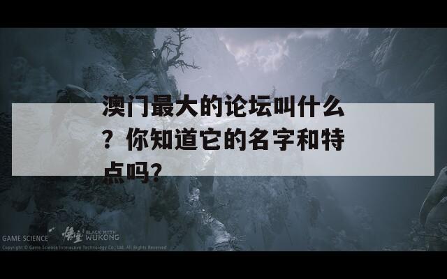 澳门最大的论坛叫什么？你知道它的名字和特点吗？