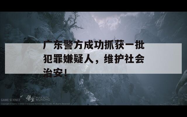 广东警方成功抓获一批犯罪嫌疑人，维护社会治安！