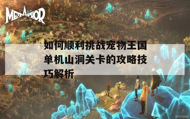 如何顺利挑战宠物王国单机山洞关卡的攻略技巧解析