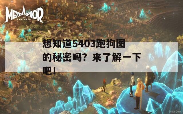 想知道5403跑狗图的秘密吗？来了解一下吧！