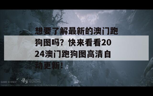 想要了解最新的澳门跑狗图吗？快来看看2024澳门跑狗图高清自动更新！