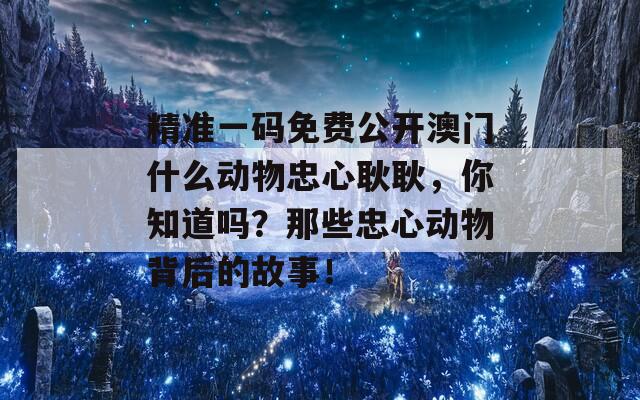 精准一码免费公开澳门什么动物忠心耿耿，你知道吗？那些忠心动物背后的故事！