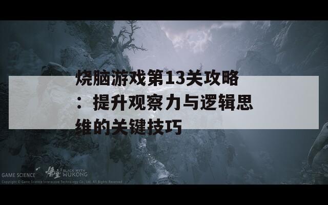 烧脑游戏第13关攻略：提升观察力与逻辑思维的关键技巧