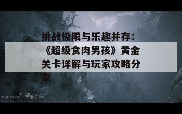 挑战极限与乐趣并存：《超级食肉男孩》黄金关卡详解与玩家攻略分享