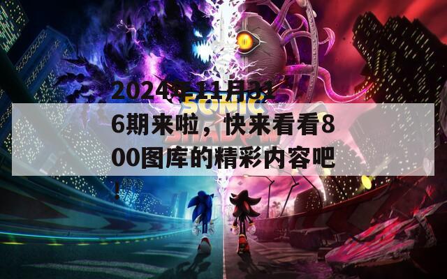 2024年11月316期来啦，快来看看800图库的精彩内容吧！